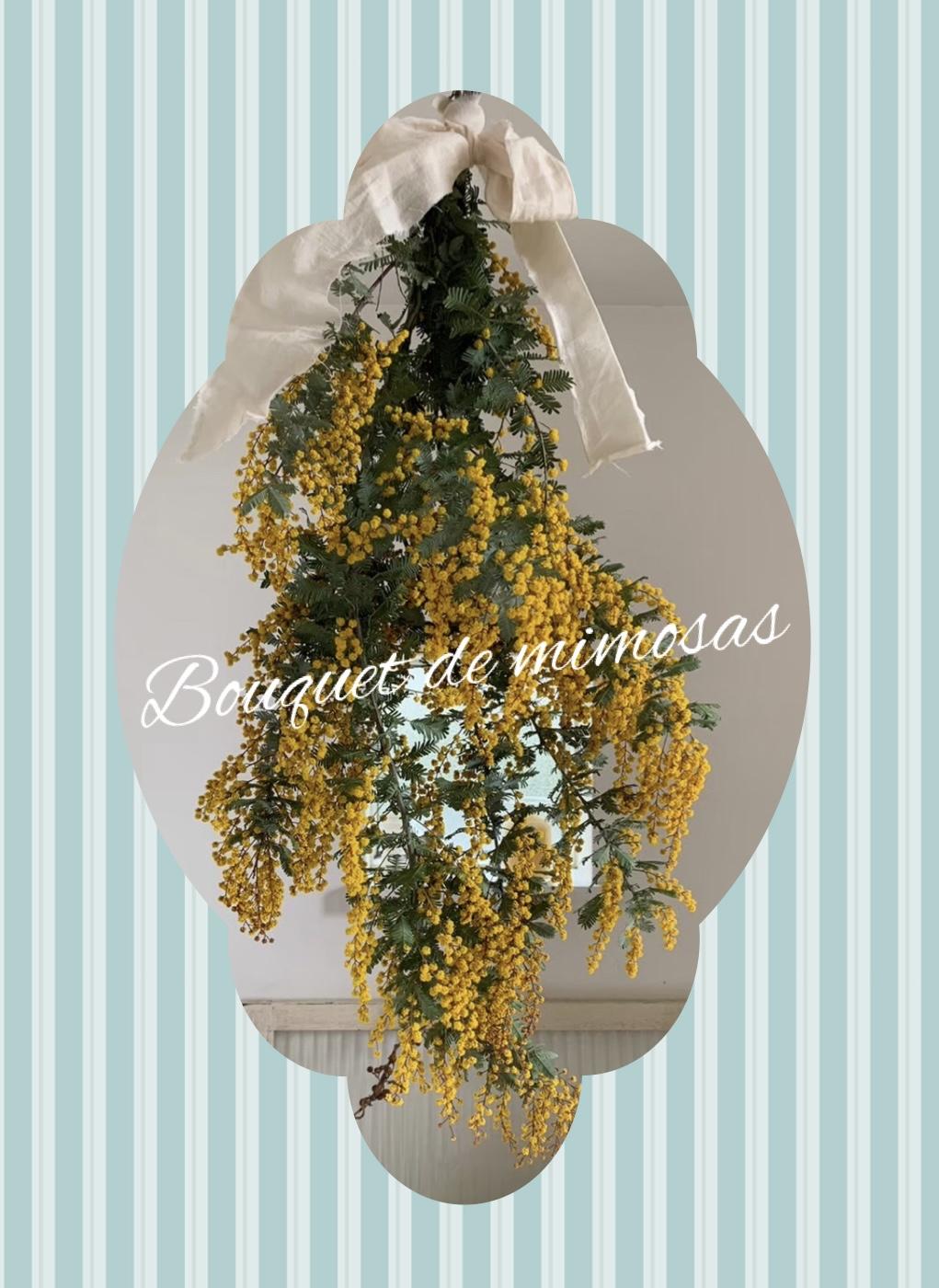 Bouquet de mimosas