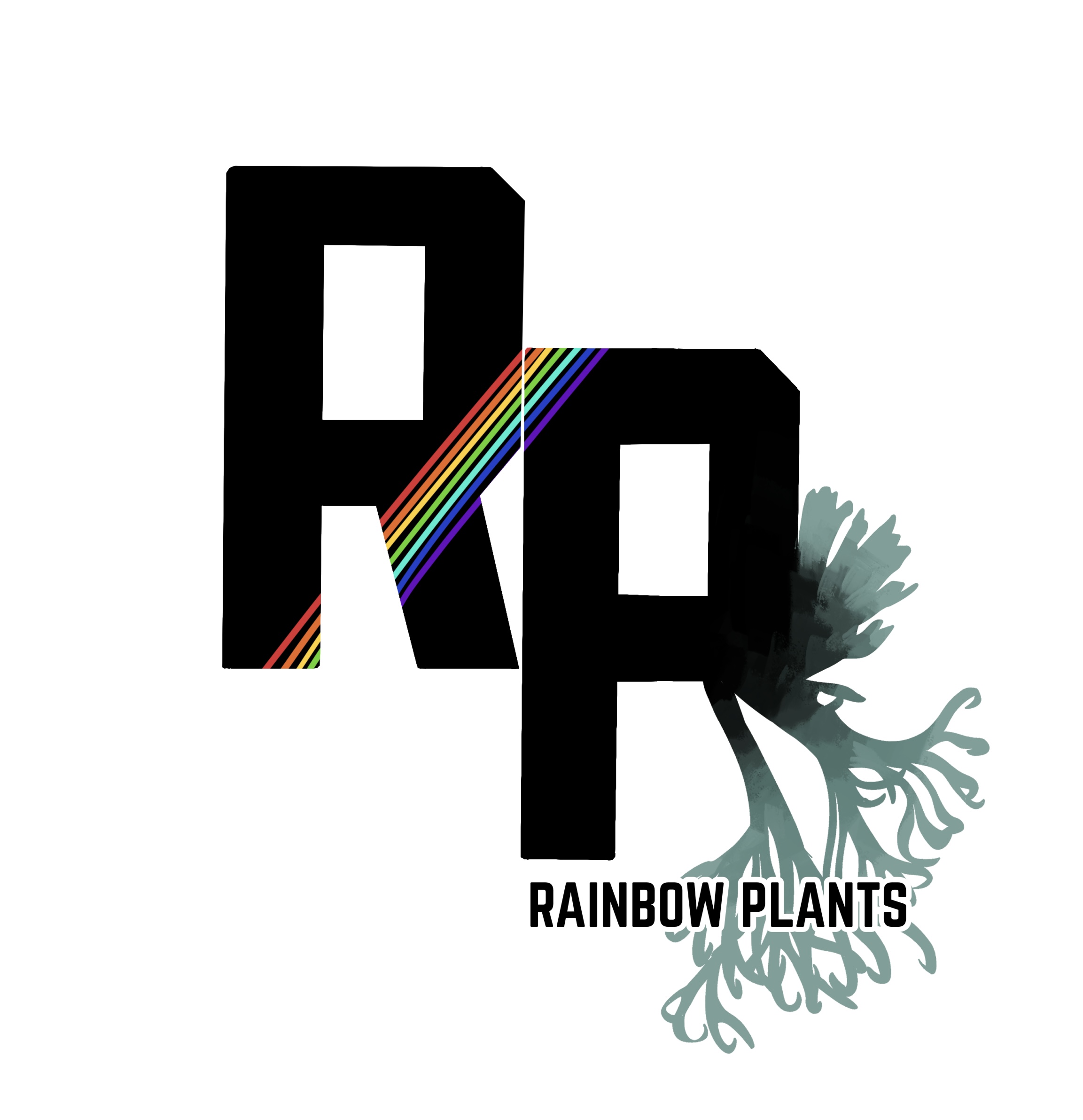 RAINBOW PLANTS