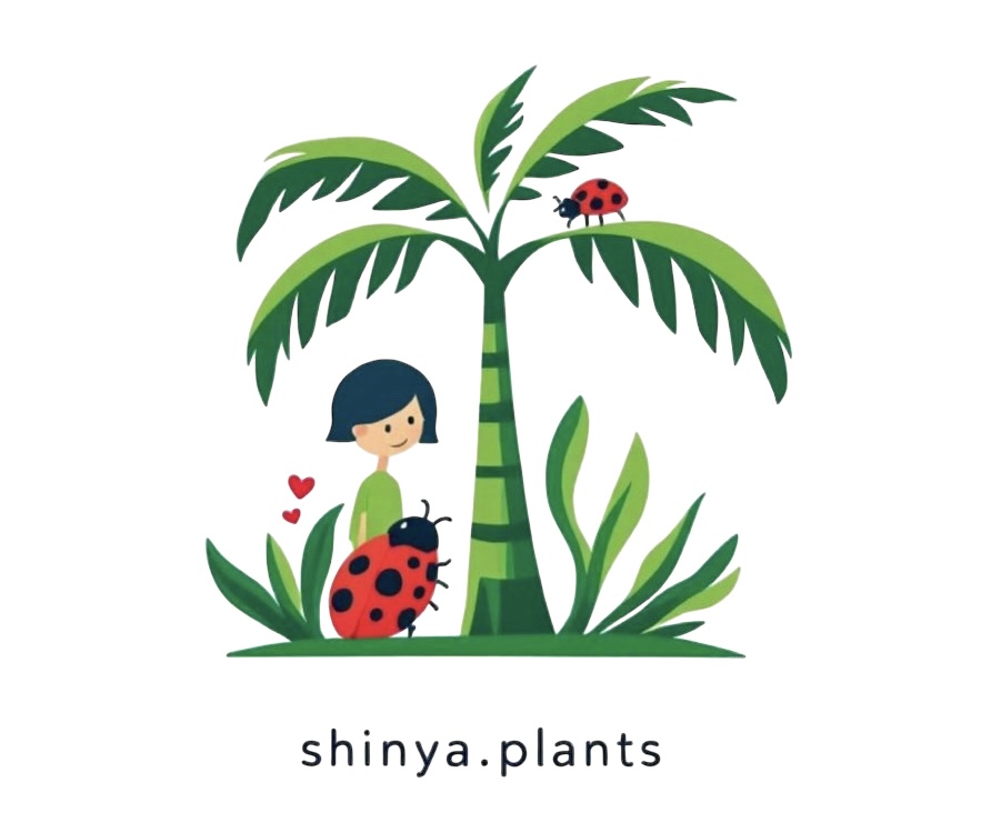 shinya.plants