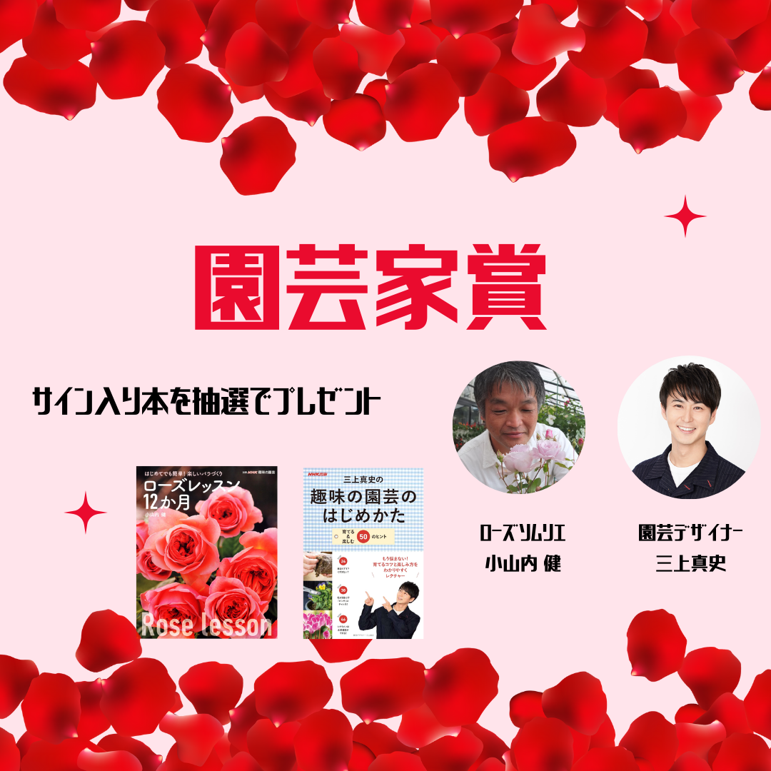 景品画像
